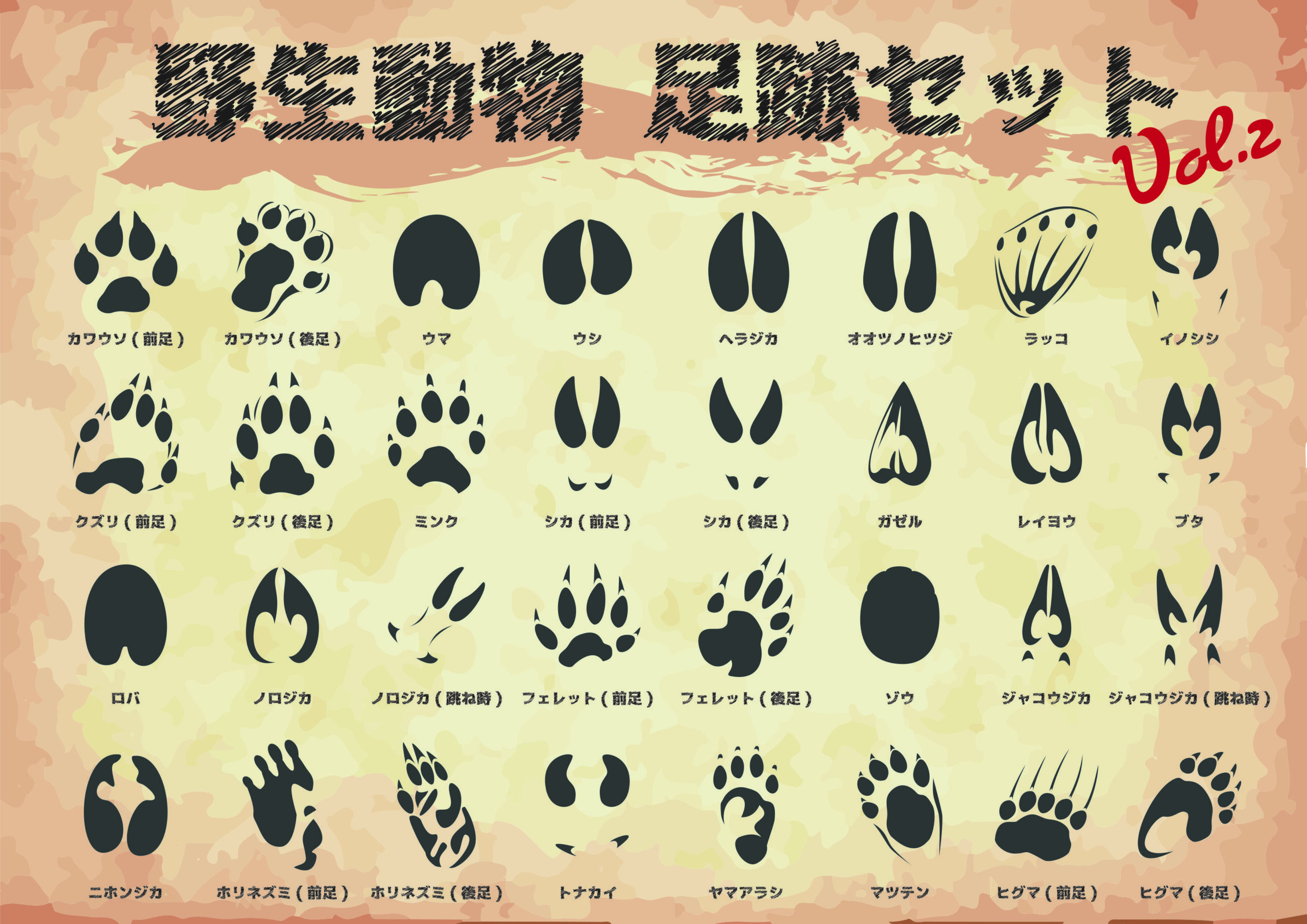 野生動物の足跡一覧(シカ・イノシシ・クマ・キツネなど)