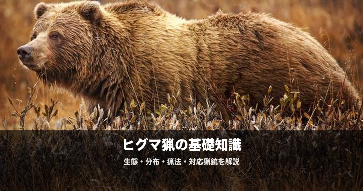 ヒグマ猟の始め方|必要なライフル・弾・猟法