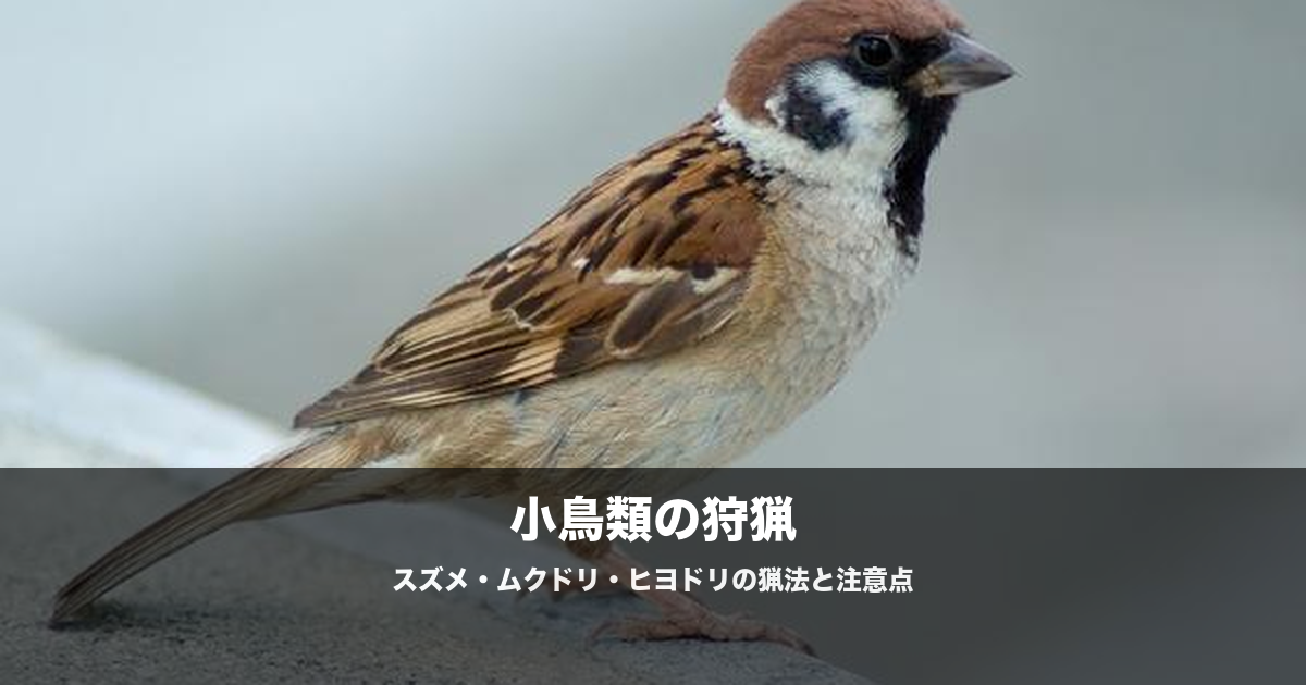 スズメ・ムクドリ・ヒヨドリの猟