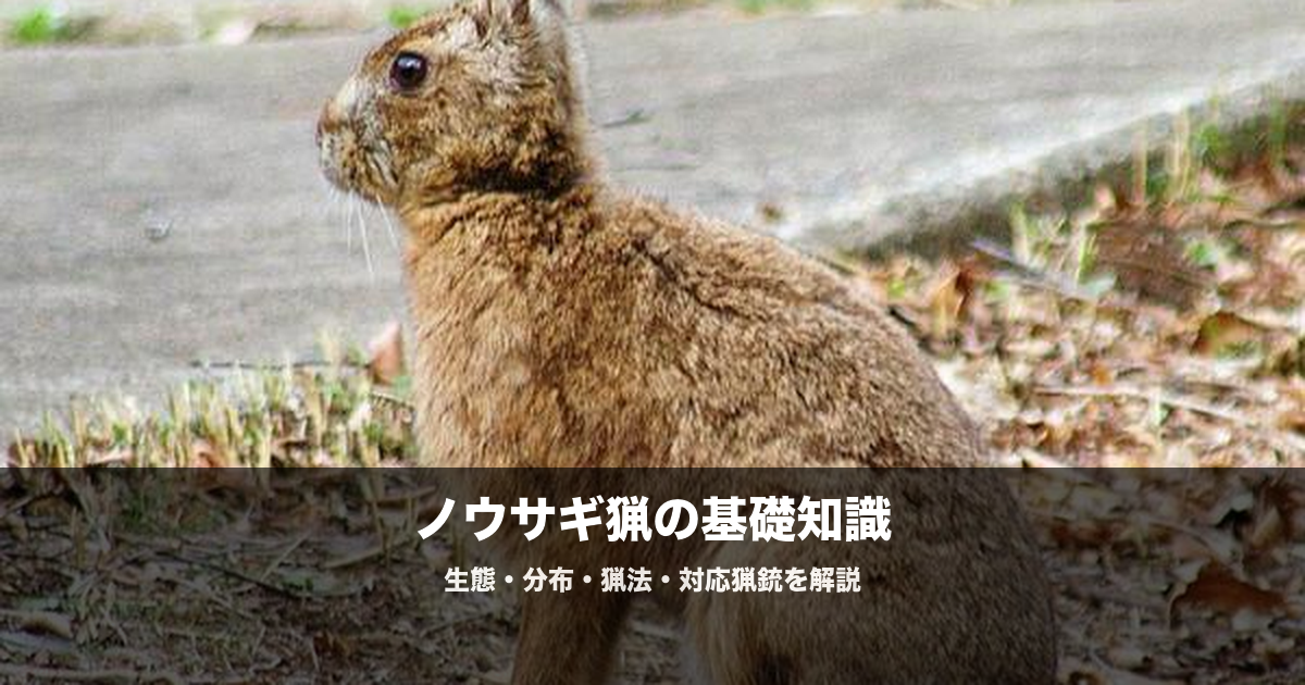 ノウサギ猟の始め方|散弾銃の弾・猟犬・巻き狩り