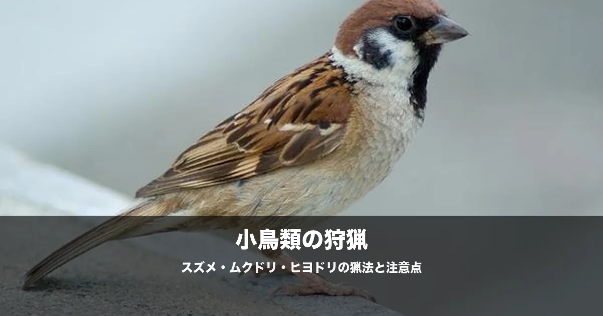 スズメ・ムクドリ・ヒヨドリの猟