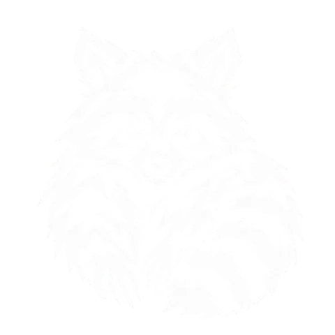 アライグマのグリフ