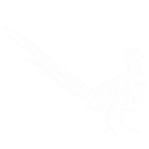 キジのグリフ