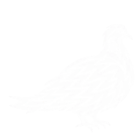 キジバトのグリフ
