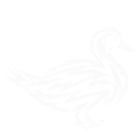 ヒドリガモのグリフ