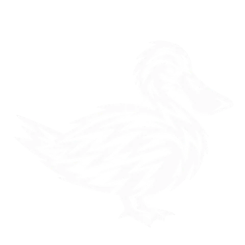 ハシビロガモのグリフ