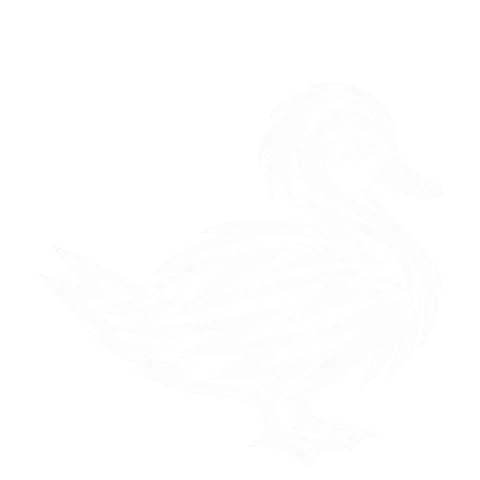 キンクロハジロのグリフ