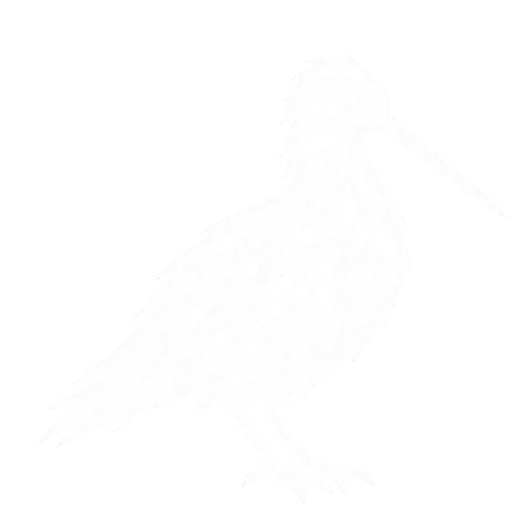 タシギのグリフ
